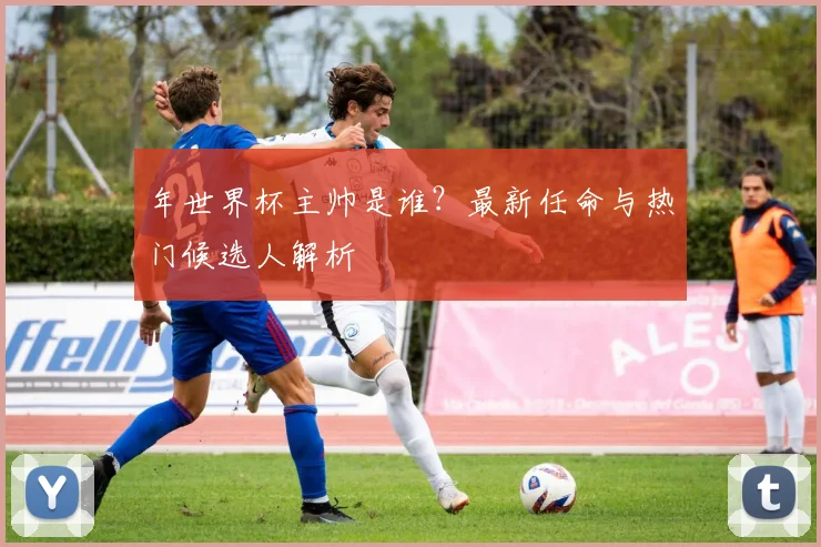 年世界杯主帅是谁？最新任命与热门候选人解析