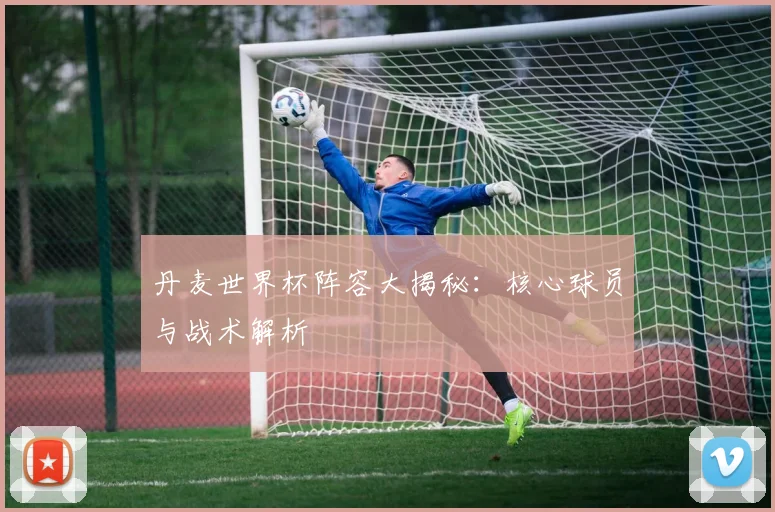 丹麦世界杯阵容大揭秘：核心球员与战术解析
